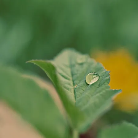 アパート Meine Heimat - In Bei Schladming - Skigebiet Amade ラムサウ・アム・ダッハシュタイン