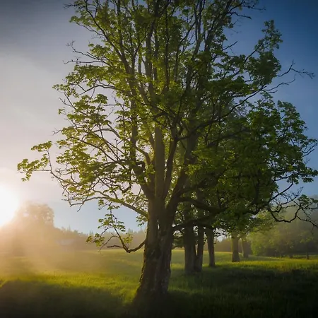 アパート Meine Heimat - In Bei Schladming - Skigebiet Amade *