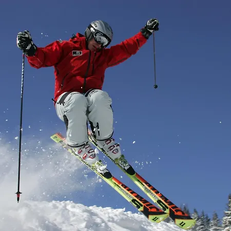 Apartmán Bio-holzhaus Und Heimat Ramsau am Dachstein