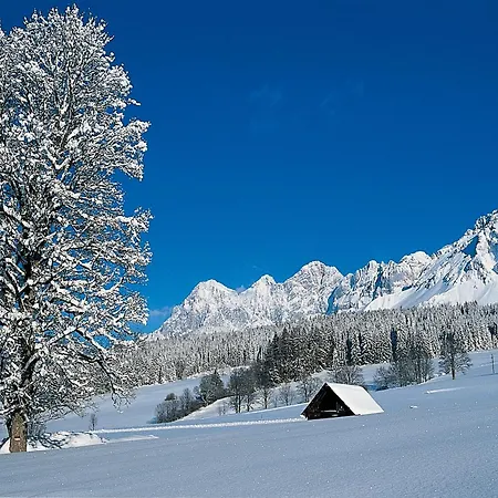 Bio-holzhaus Und Landhaus Heimat Ramsau am Dachstein