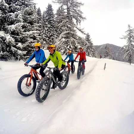 Apartmán Bio-holzhaus Und Heimat Ramsau am Dachstein