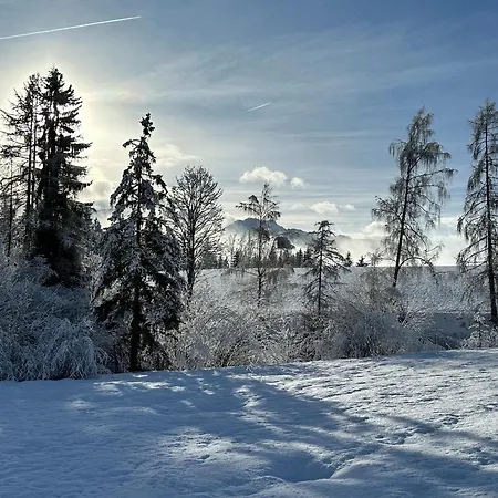 Bio-holzhaus Und Heimat *