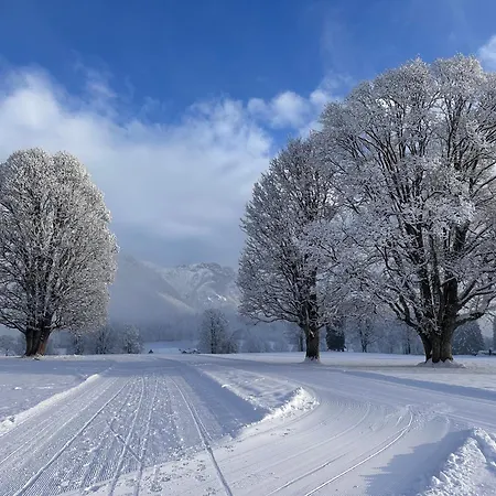 Bio-holzhaus Und Landhaus Heimat Apartment Ramsau am Dachstein