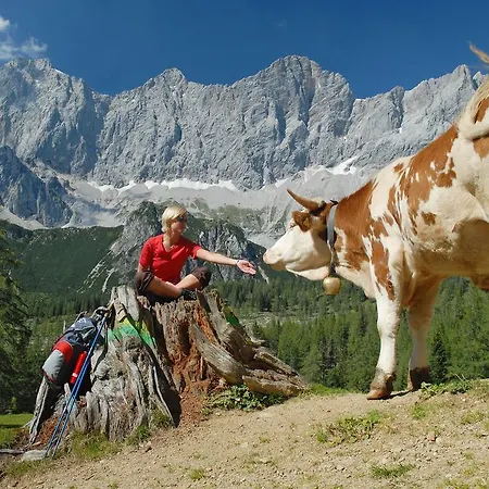 Meine Heimat - Charming Mountain & Free Summercard * ラムサウ・アム・ダッハシュタイン
