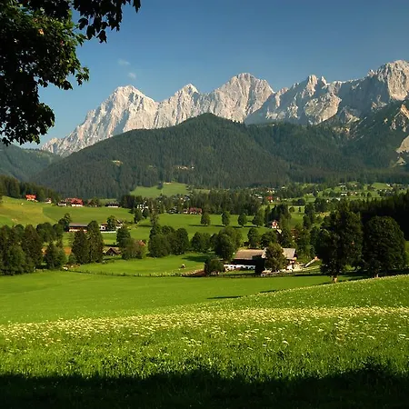 Bio-holzhaus Und Heimat Appartement