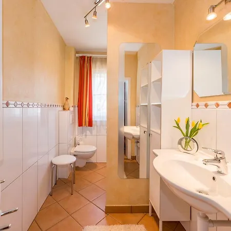 Meine Heimat - In Bei Schladming - Skigebiet Amade * ラムサウ・アム・ダッハシュタイン