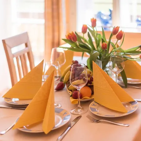 Meine Heimat - In Bei Schladming - Skigebiet Amade ラムサウ・アム・ダッハシュタイン