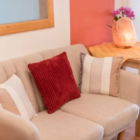Meine Heimat - Charming Mountain & Free Summercard Apartament *