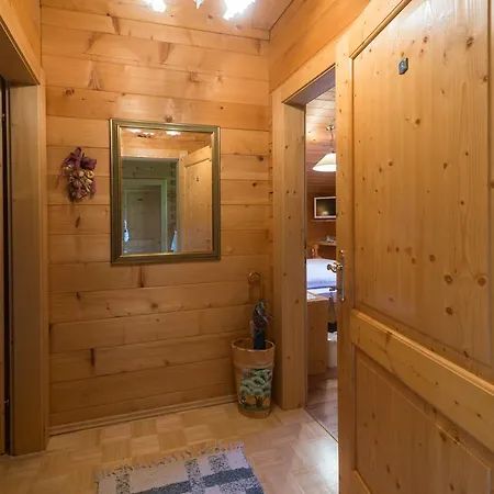 Meine Heimat - In Bei Schladming - Skigebiet Amade アパート