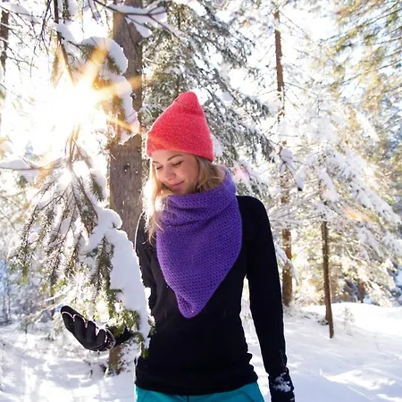 Meine Heimat - In Bei Schladming - Skigebiet Amade アパート *