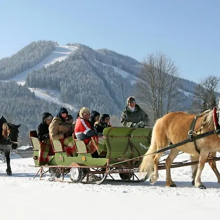 Bio-holzhaus Und Heimat Ramsau am Dachstein