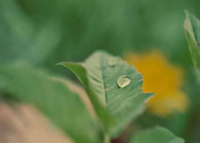 公寓 Meine Heimat - In - Inklusive Sommercard 拉姆绍达赫斯坦