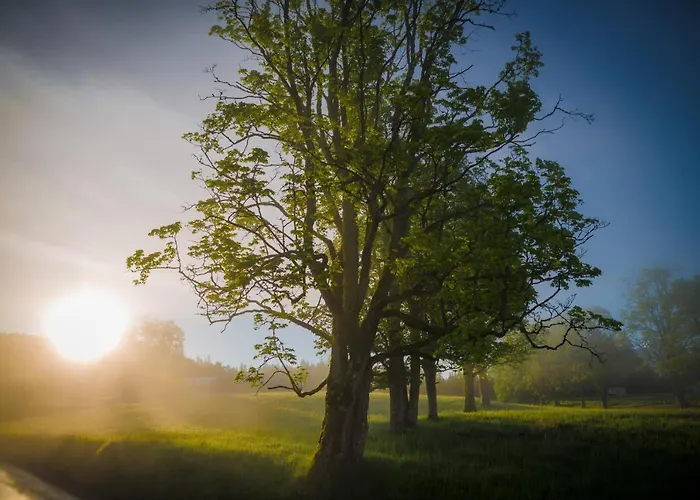 Apartman Meine Heimat - In - Inklusive Sommercard *