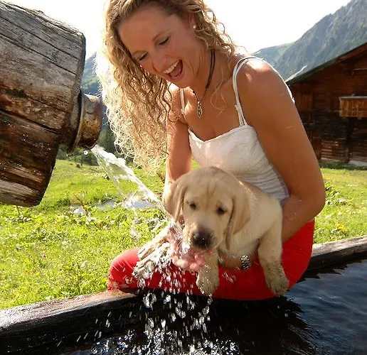 Meine Heimat - In Bei Schladming - Skigebiet Amade