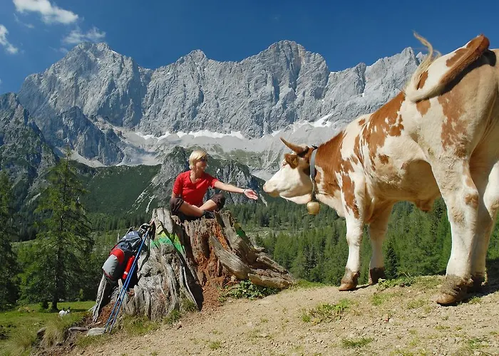 Meine Heimat - In - Inklusive Sommercard * 拉姆绍达赫斯坦